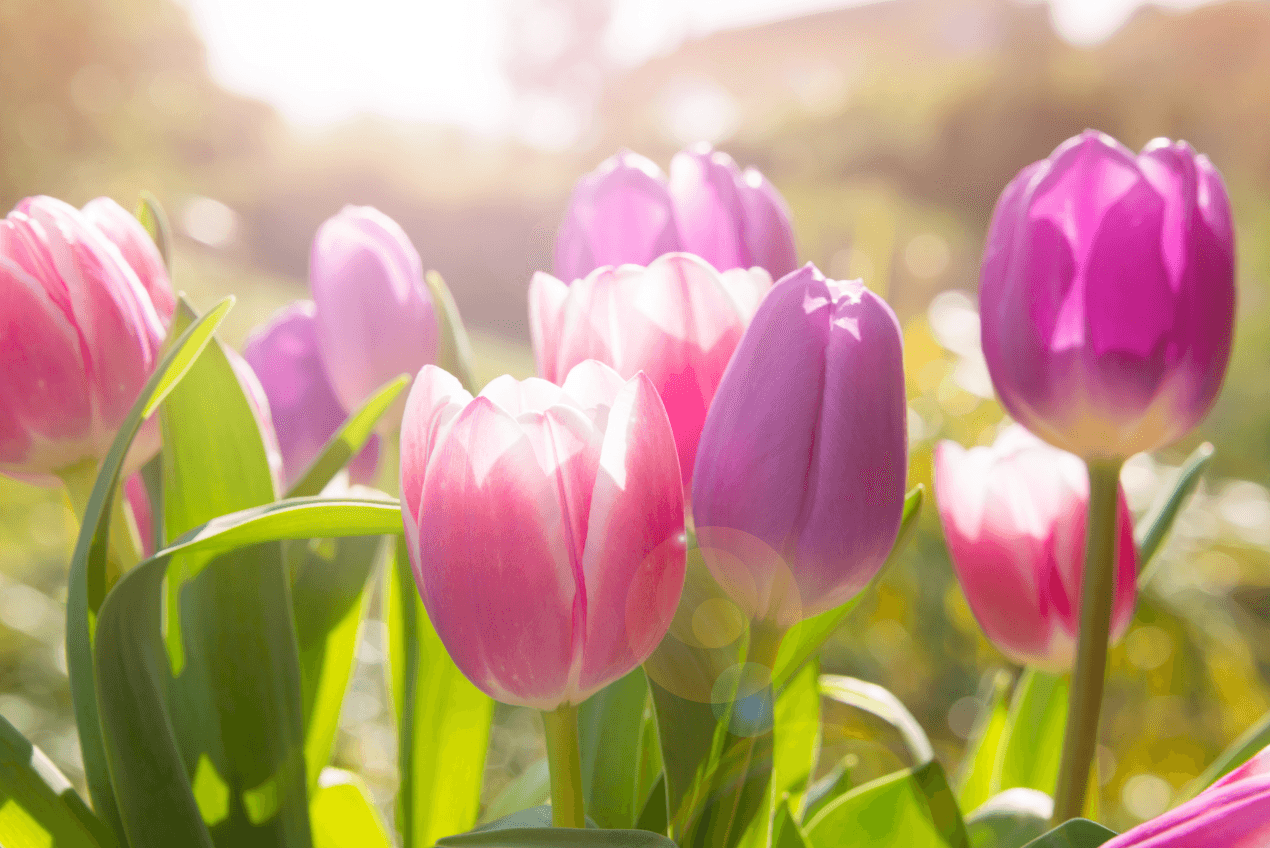 A Season of Sunshine: Noticing God in the Everyday