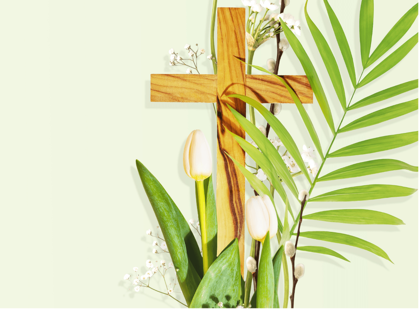 Hope Renewed, Life Restored